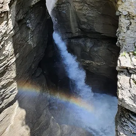 Luizet Nr 28 Apartament *